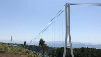 ������ ������ ���� ������� ��������� � �������� � �������� 