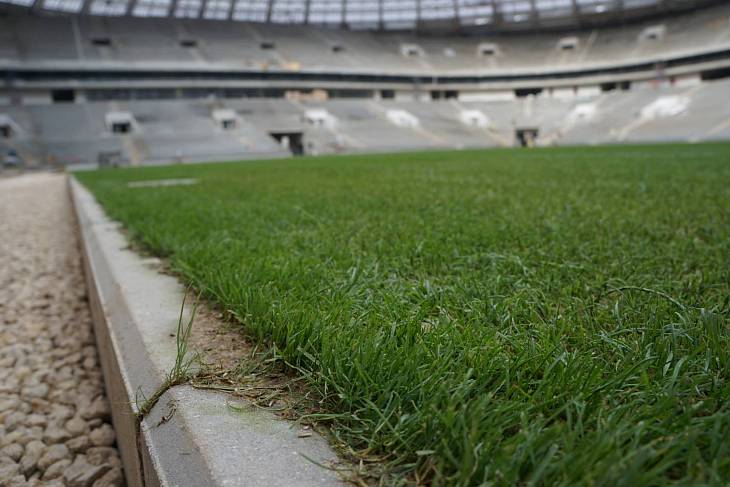 ���������� ����� � �������� ������ ��������� �� 145 ��������