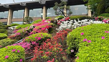 �� ������ ��������� ������ �������� ��� ������ ����� � ������