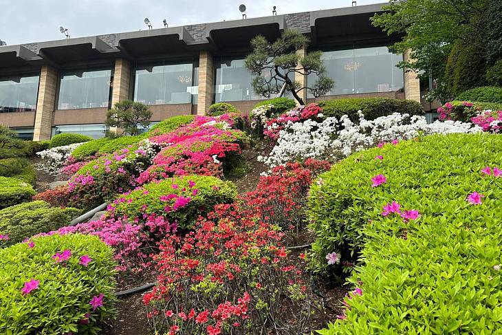 �� ������ ��������� ������ �������� ��� ������ ����� � ������