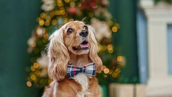 ��������� ���� � ������� ������