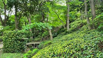 � ���������� �������� � ������ ����� ����������� ���������� �� ������ �����