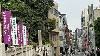 � ������ ������� ���������