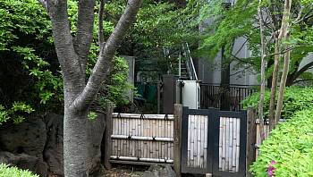 ������ ���� ��������� �������� 