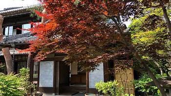 ������� ��������: ������ ����������� � ��������� �������������� �����������