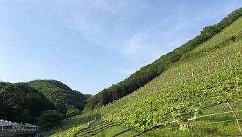 � �������� �������� ������ ��������� ������� �����