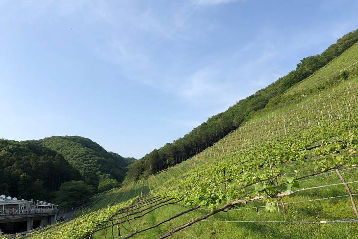 � �������� �������� ������ ��������� ������� �����