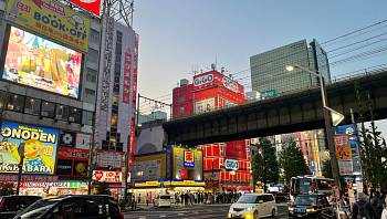 � ������ ������ ������ ������